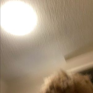 Meet your Posher, Miles